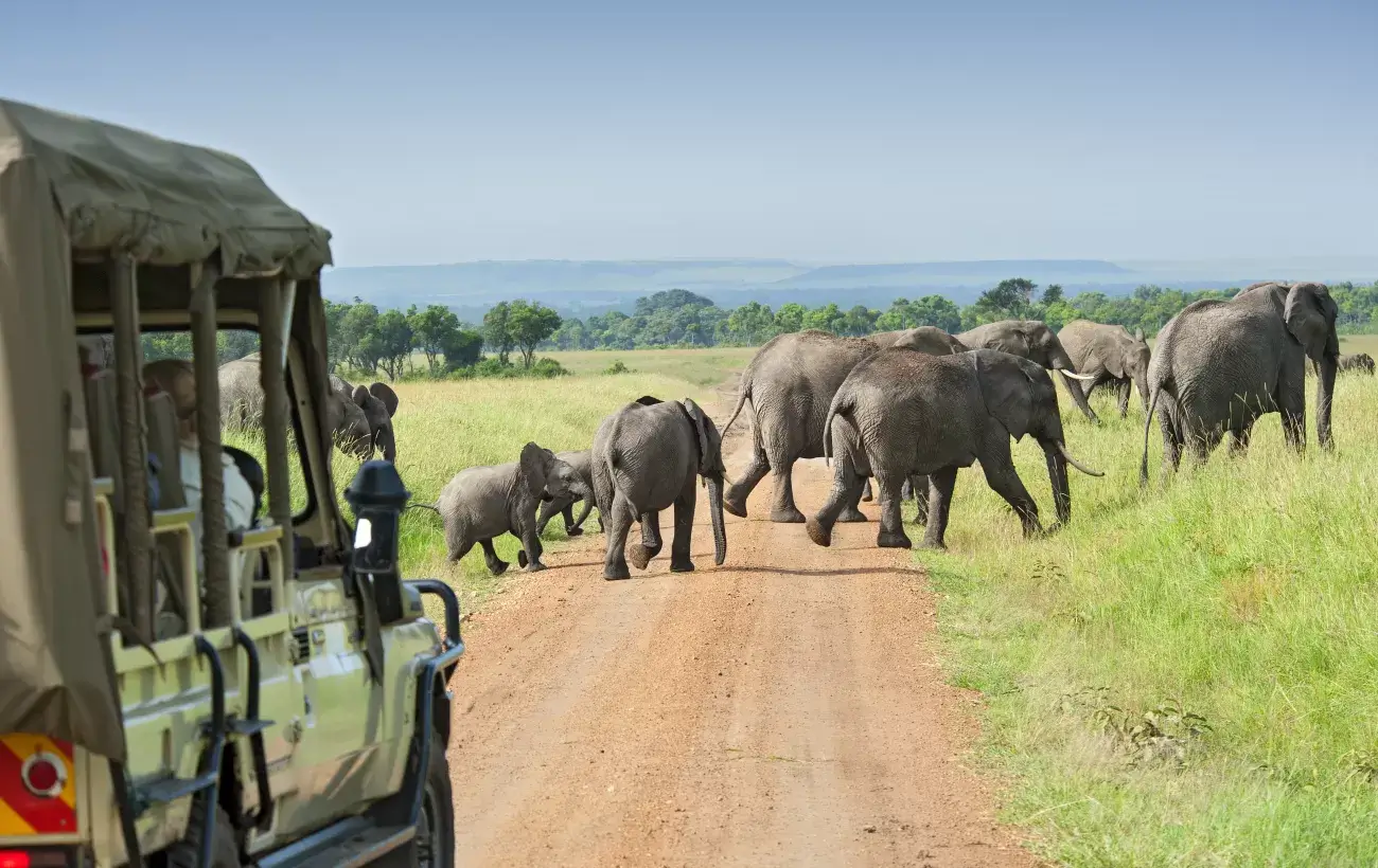 Safari vehicle overlooking wildlife on the Serengeti plains, best time to visit Tanzania